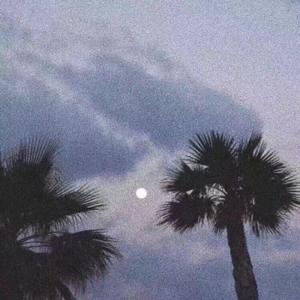 藤村美枝子在线视频
