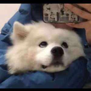 藤村美枝子在线视频
